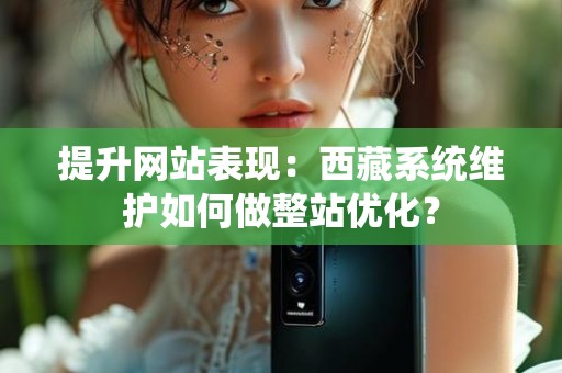 提升网站表现：西藏系统维护如何做整站优化？