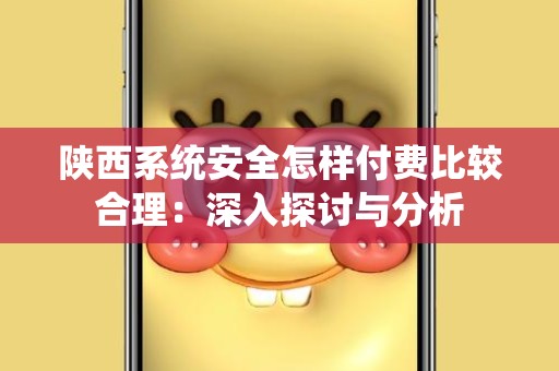 陕西系统安全怎样付费比较合理：深入探讨与分析