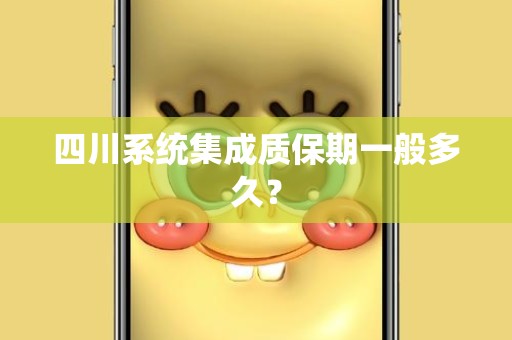 四川系统集成质保期一般多久？