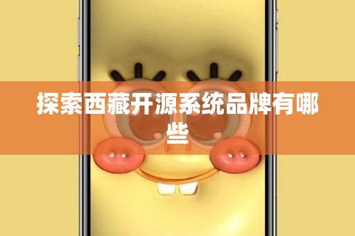 探索西藏开源系统品牌有哪些