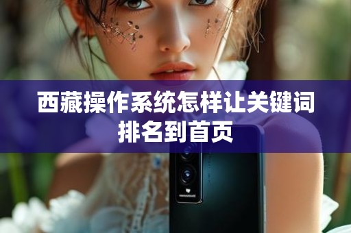 西藏操作系统怎样让关键词排名到首页