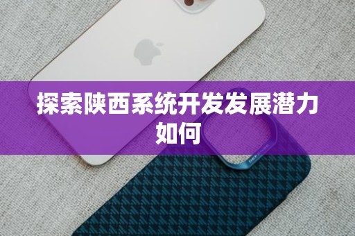 探索陕西系统开发发展潜力如何