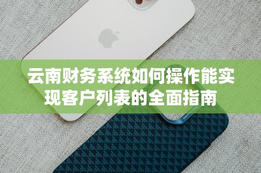 云南财务系统如何操作能实现客户列表的全面指南