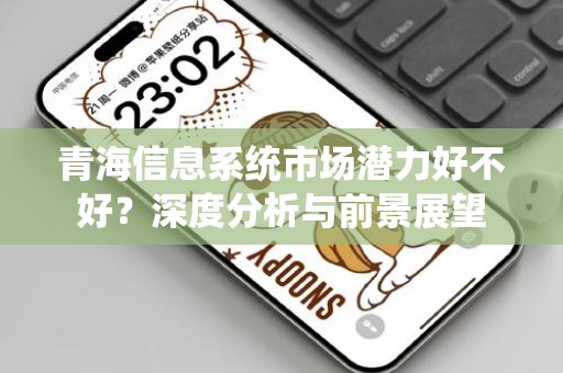 青海信息系统市场潜力好不好？深度分析与前景展望