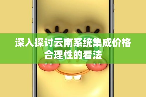 深入探讨云南系统集成价格合理性的看法