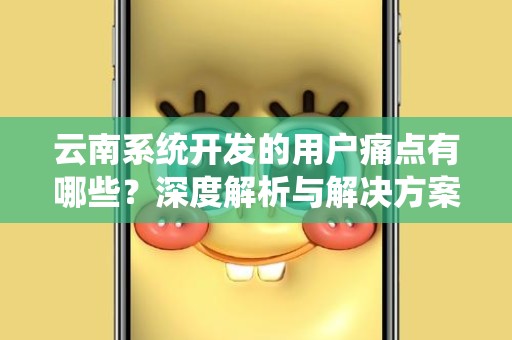 云南系统开发的用户痛点有哪些？深度解析与解决方案