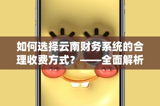 如何选择云南财务系统的合理收费方式？——全面解析云南财务系统怎样收费比较合理