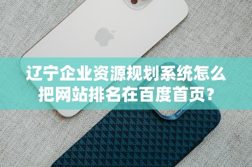 辽宁企业资源规划系统怎么把网站排名在百度首页？