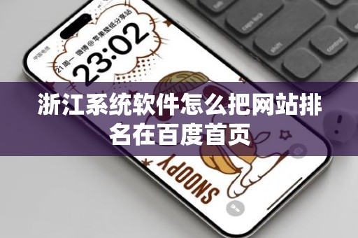 浙江系统软件怎么把网站排名在百度首页