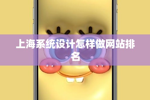 上海系统设计怎样做网站排名