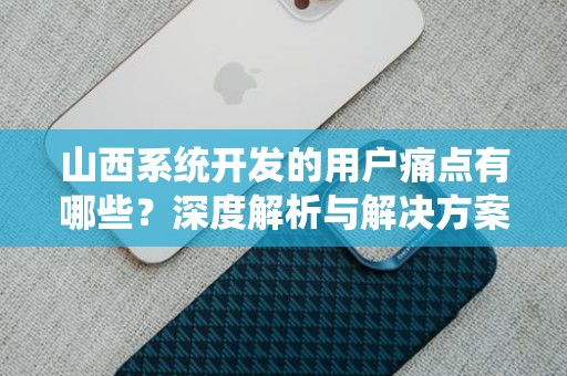 山西系统开发的用户痛点有哪些？深度解析与解决方案