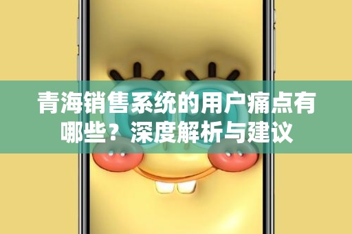 青海销售系统的用户痛点有哪些？深度解析与建议