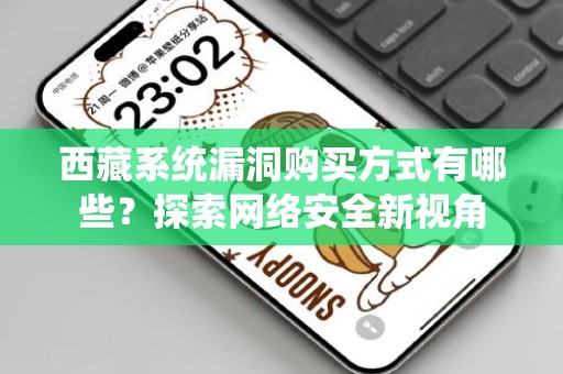 西藏系统漏洞购买方式有哪些？探索网络安全新视角