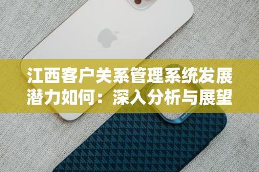 江西客户关系管理系统发展潜力如何：深入分析与展望