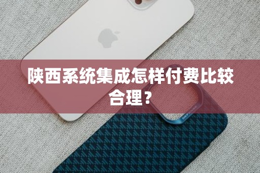 陕西系统集成怎样付费比较合理？