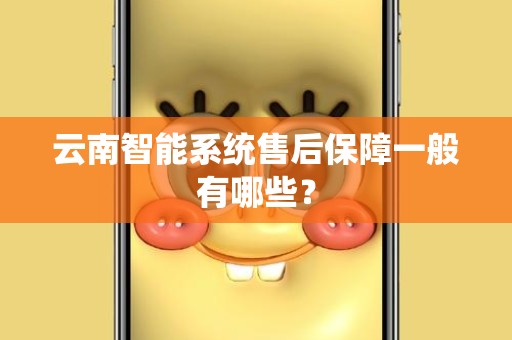 云南智能系统售后保障一般有哪些？