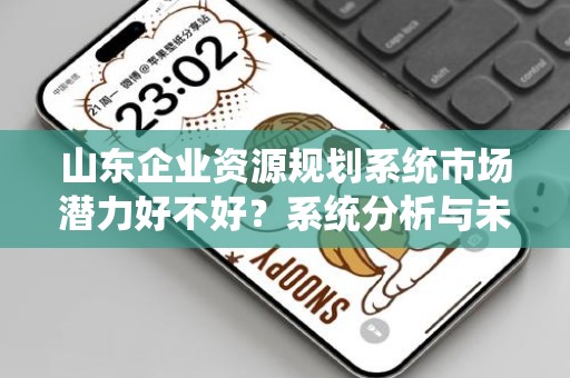 山东企业资源规划系统市场潜力好不好？系统分析与未来展望