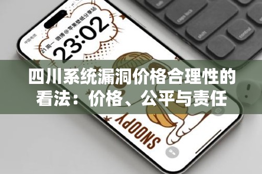 四川系统漏洞价格合理性的看法：价格、公平与责任