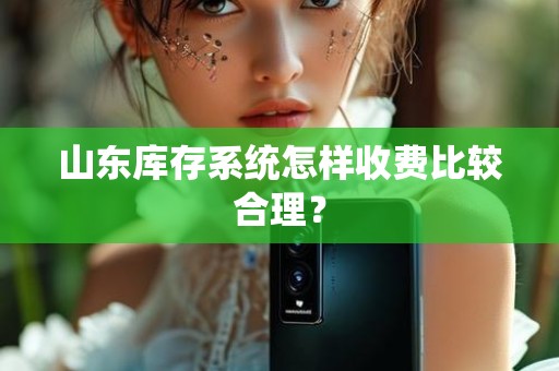 山东库存系统怎样收费比较合理？