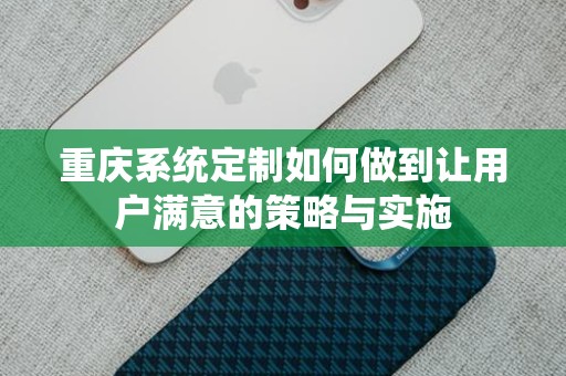 重庆系统定制如何做到让用户满意的策略与实施