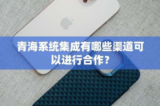 青海系统集成有哪些渠道可以进行合作？
