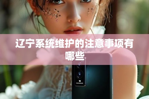 辽宁系统维护的注意事项有哪些