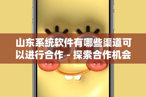 山东系统软件有哪些渠道可以进行合作 - 探索合作机会与潜力