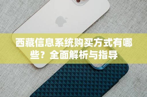西藏信息系统购买方式有哪些？全面解析与指导