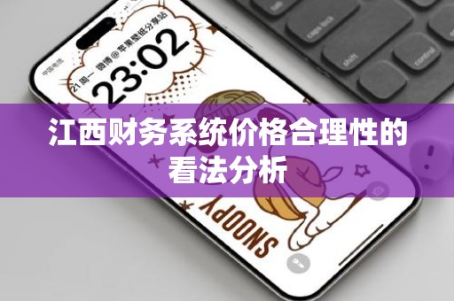 江西财务系统价格合理性的看法分析