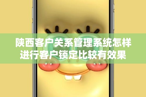 陕西客户关系管理系统怎样进行客户锁定比较有效果