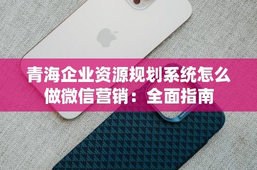 青海企业资源规划系统怎么做微信营销：全面指南