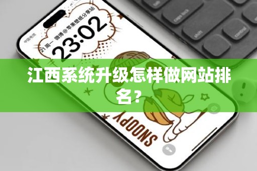 江西系统升级怎样做网站排名？