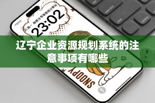 辽宁企业资源规划系统的注意事项有哪些