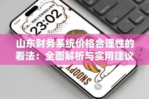 山东财务系统价格合理性的看法：全面解析与实用建议