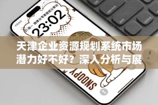天津企业资源规划系统市场潜力好不好？深入分析与展望