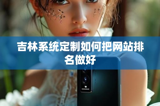 吉林系统定制如何把网站排名做好