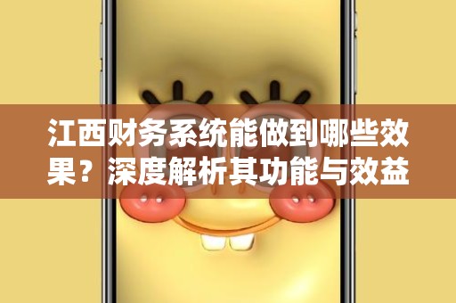 江西财务系统能做到哪些效果？深度解析其功能与效益