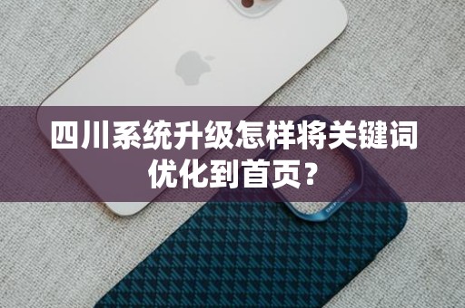 四川系统升级怎样将关键词优化到首页？