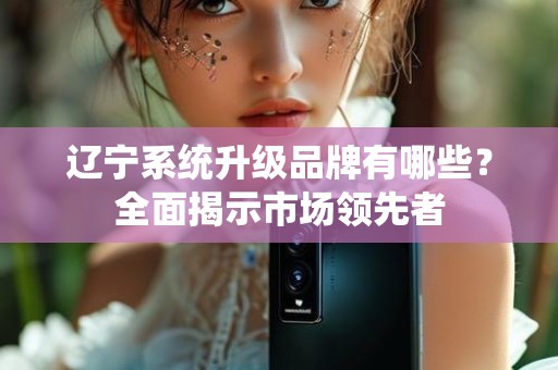辽宁系统升级品牌有哪些？全面揭示市场领先者