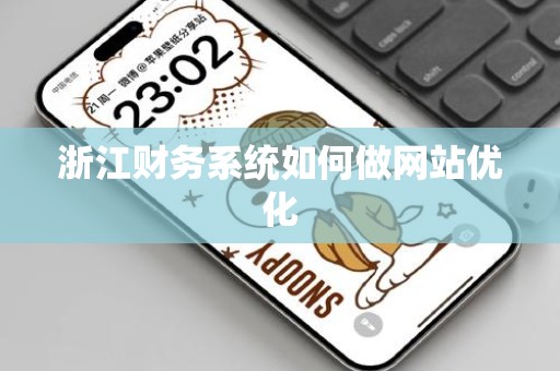 浙江财务系统如何做网站优化