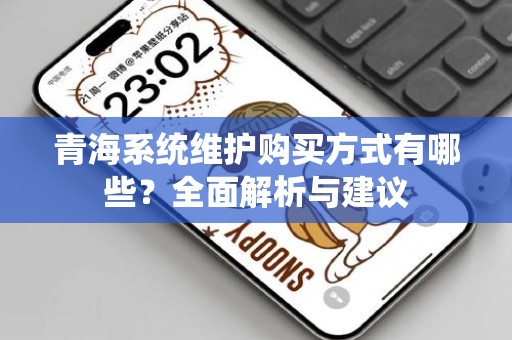 青海系统维护购买方式有哪些？全面解析与建议