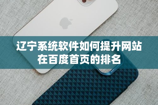 辽宁系统软件如何提升网站在百度首页的排名