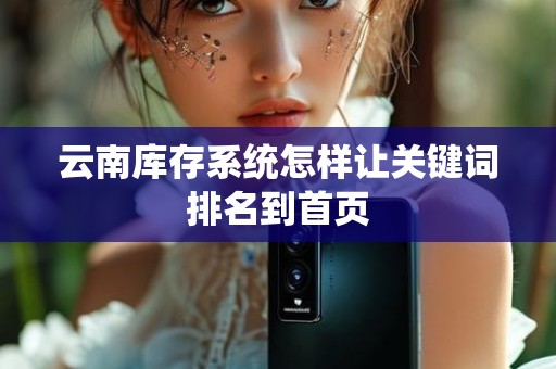 云南库存系统怎样让关键词排名到首页