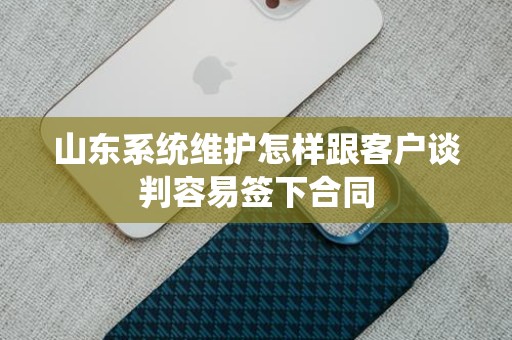 山东系统维护怎样跟客户谈判容易签下合同
