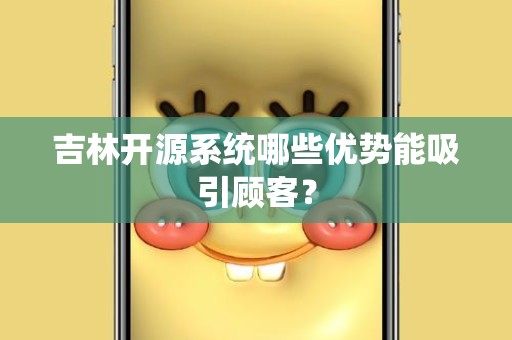 吉林开源系统哪些优势能吸引顾客？