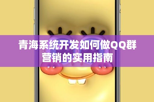 青海系统开发如何做QQ群营销的实用指南