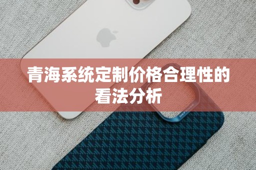青海系统定制价格合理性的看法分析
