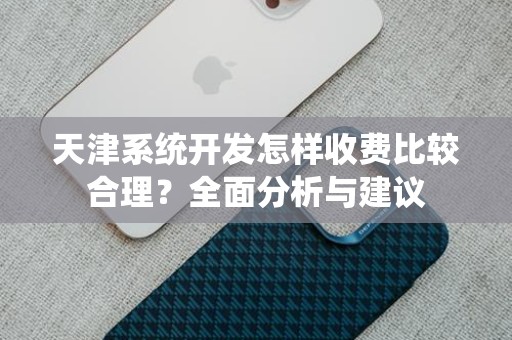 天津系统开发怎样收费比较合理？全面分析与建议