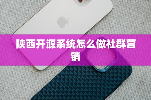 陕西开源系统怎么做社群营销
