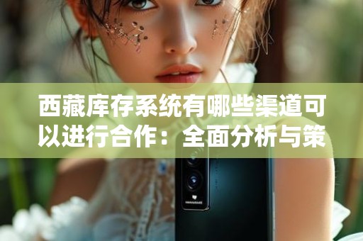 西藏库存系统有哪些渠道可以进行合作：全面分析与策略探讨